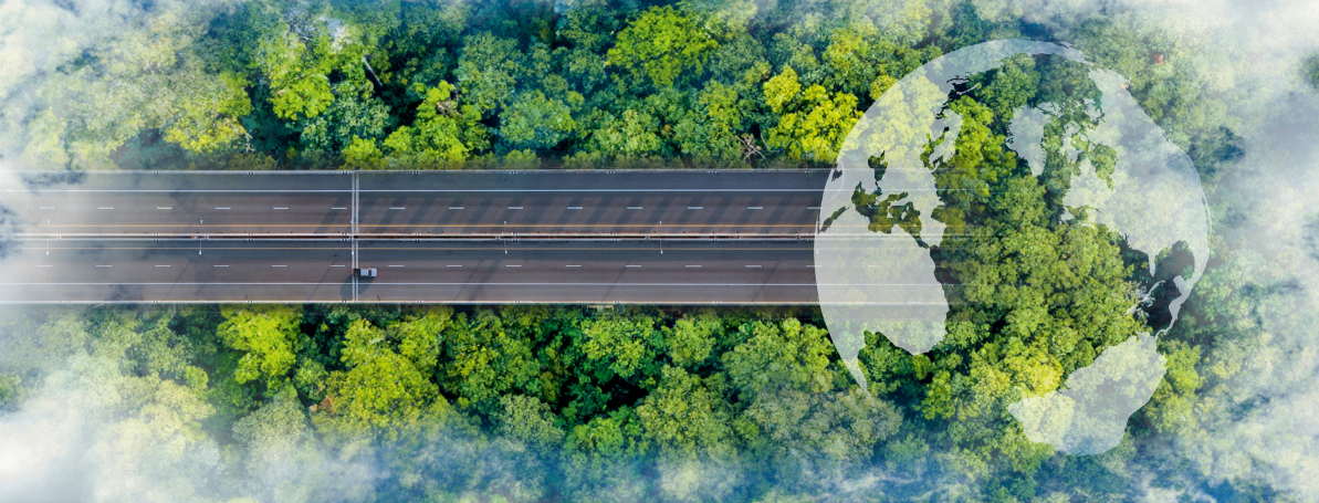 Report - RED III-Umsetzung